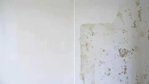 jaki grunt na gładź polimerową przed malowaniem